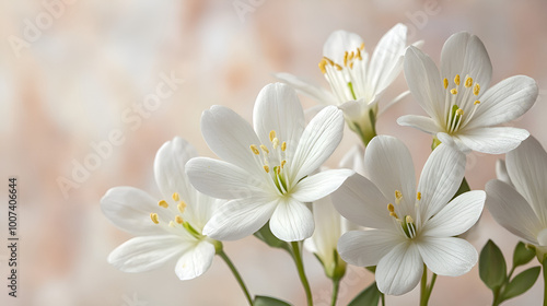 a group of white flowers with green leaves