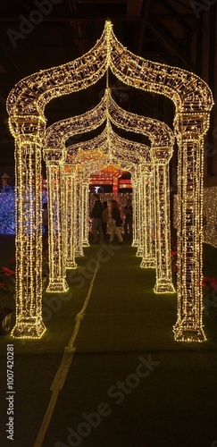 Christmas Lights and Decoration