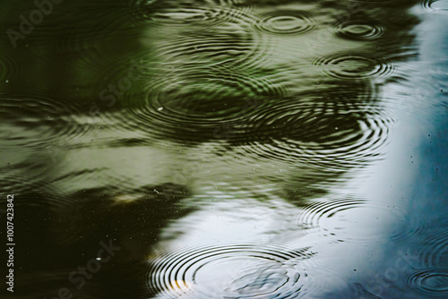 A body of water with raindrops creating ripples on the surface. The ripples are scattered throughout the water, creating a sense of movement and energy