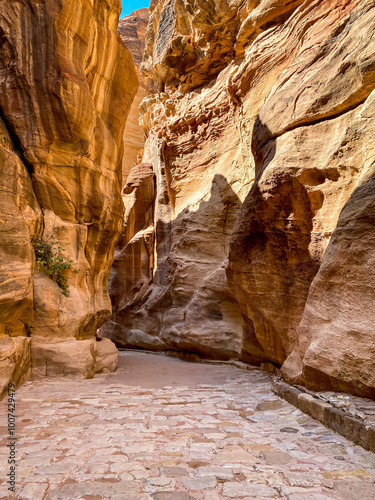 Canyon