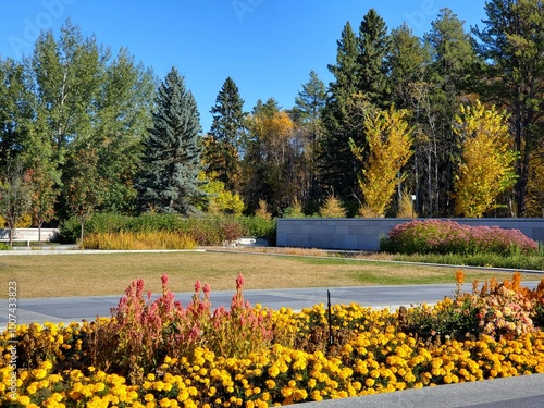 Fall in the Park
