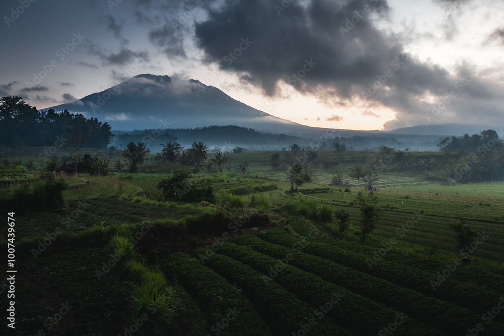 Fototapeta premium A volcano in the clouds with rice fields in the foreground.