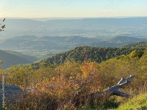Mountains and Ridges