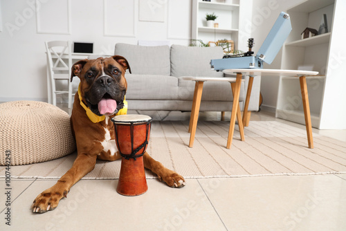 Boxer dog with headphones a...