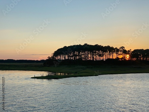 Heron and the Sunset