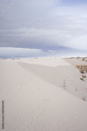 white sands of new mexico