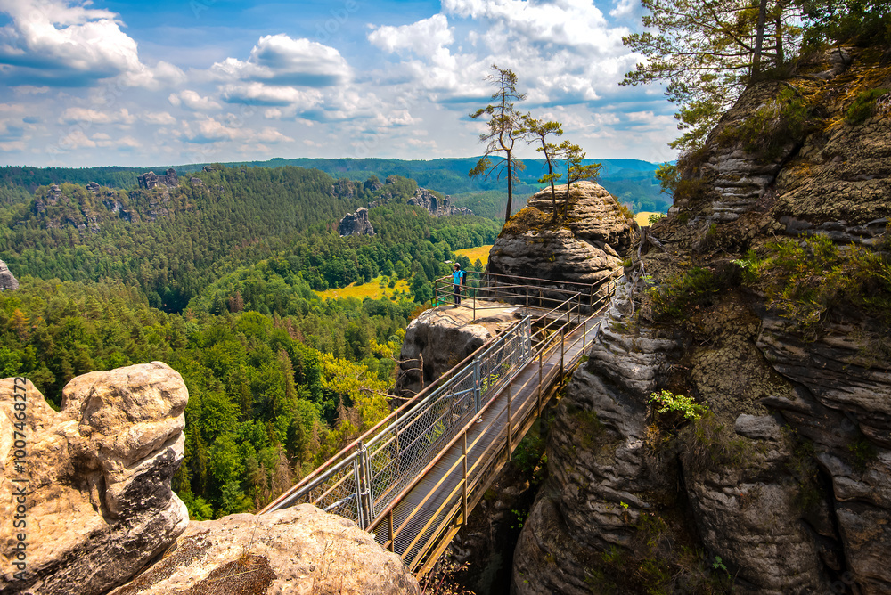 Saxon Switzerland, Bastai Bridge. Mountain view