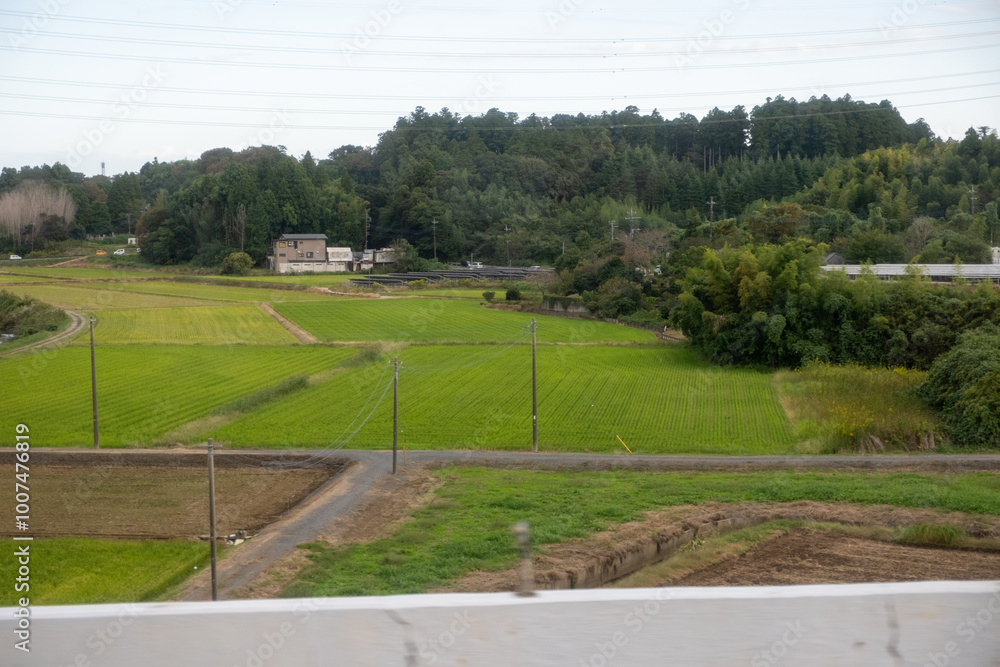 Japanese Countryside Farmlands, Tokyo, Japan, October 17, 2023 Japanese Countryside Farmlands, Tokyo, Japan, October 17, 2023