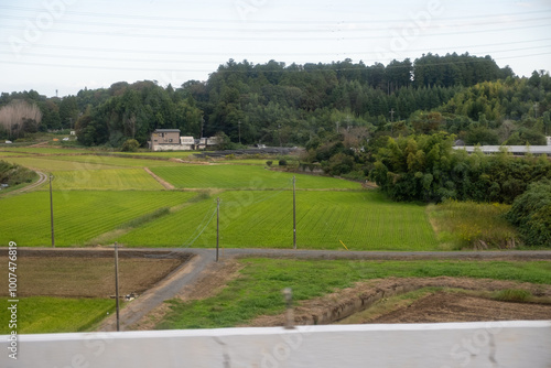 Japanese Countryside Farmlands, Tokyo, Japan, October 17, 2023