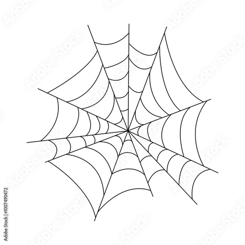 spider web vector illustration