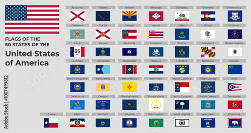 All 50 U.S. State Flags Vector Format