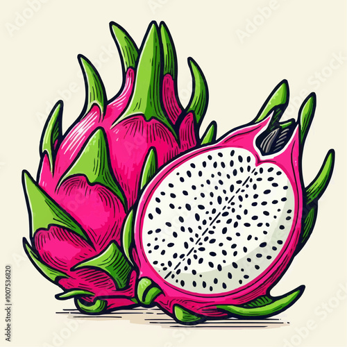 illustration of a dragon fruit