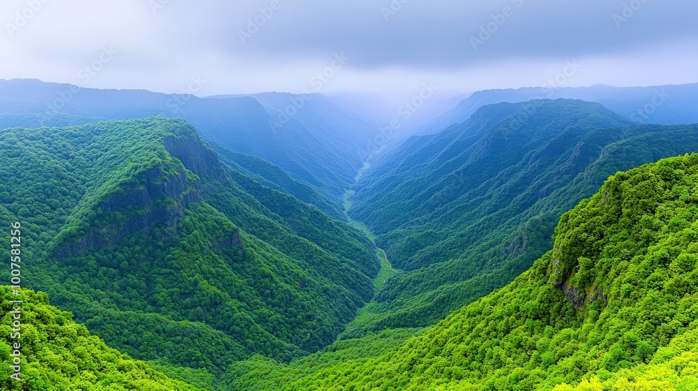 Naklejka premium Majestic Mountain Valley Landscape with Lush Green Foliage and Foggy Sky