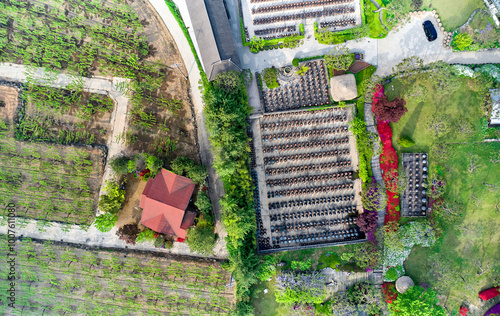 Seoil Farm, Anseong-si, Gyeonggi-do, South Korea - May 4, 2020: Aerial view of Crocks(Jangdok) at the farm. Jangdok is jar to contain soy sauce or red pepper paste. photo