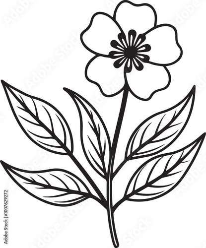 Floral flower line art vector