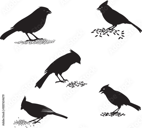 Silhouette of a cardinal feeding on seeds, birds eating collection