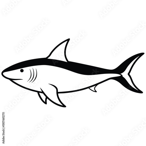 Sea bull blue shark actual colour vector illustration on the white background, black and white colour shark