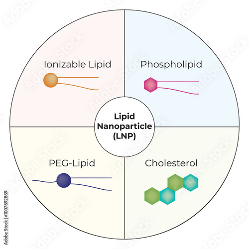 Lipid Nanoparticle ionizable Lipid Phospholipid PEGLipid Cholesterol Science Vector Design Illustration