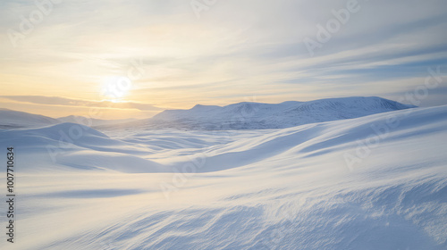 A vast snow-covered landscape stretching to the horizon, with gentle hills and a pale winter sun casting soft shadow