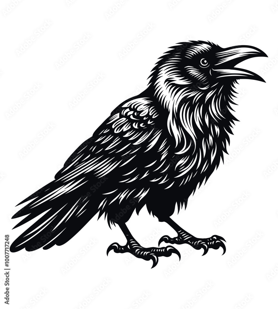 Obraz premium Crow silhouette vector illustrations