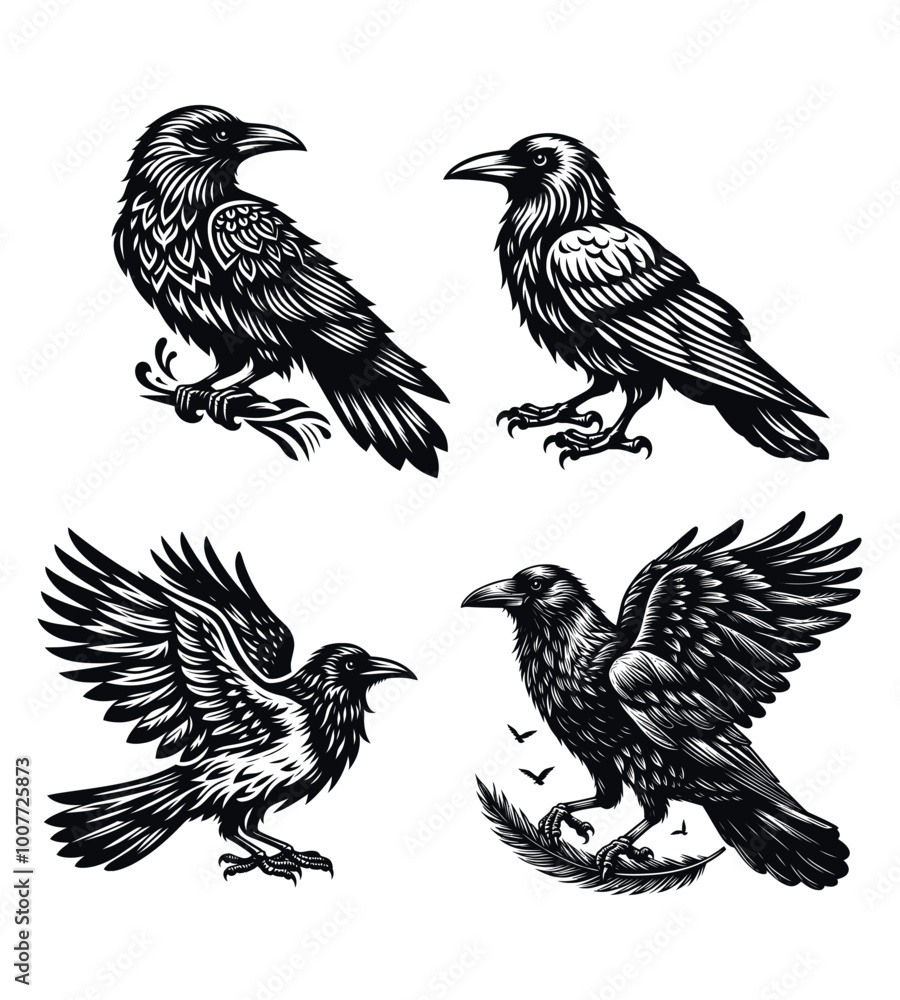 Obraz premium Crow silhouette vector illustrations