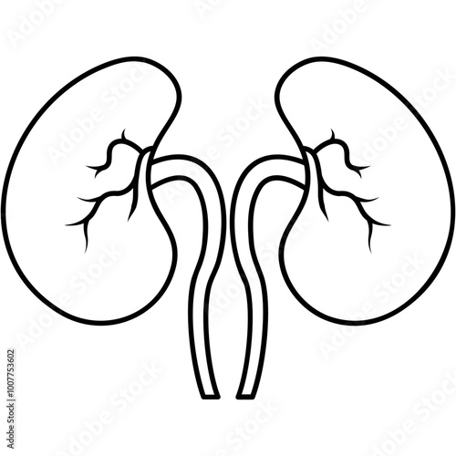 Kidney Icon