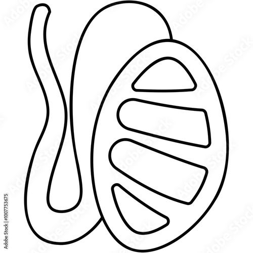 Testis Icon