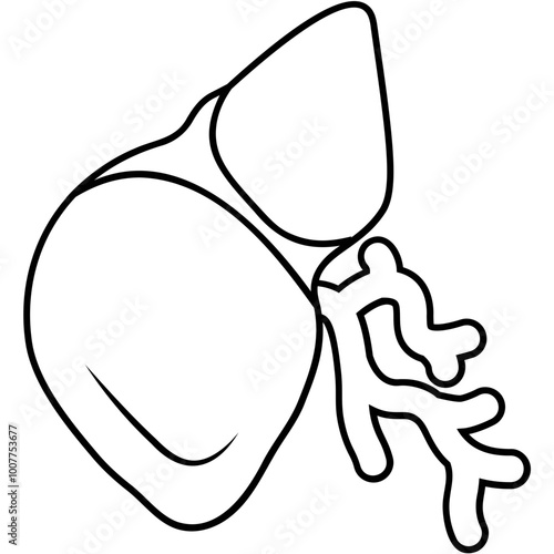 Gallbladder Icon