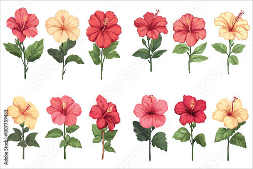 Abstract colorful hibiscus flower vector, Set of different hibiscus flowers, Set of hibiscus flowers, Tropical hibiscus flowers vector illustration