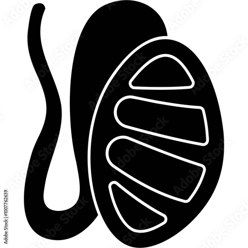 Testis Icon
