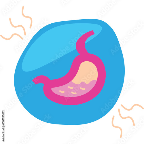 Stomach Illustration photo