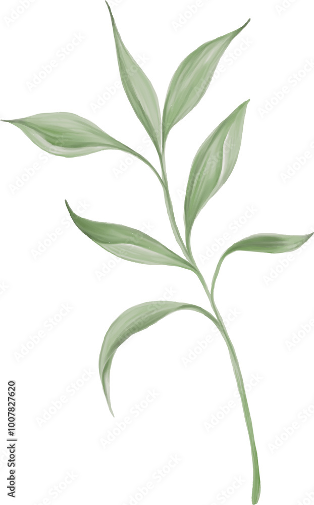 Fototapeta premium Aesthetic green leaves