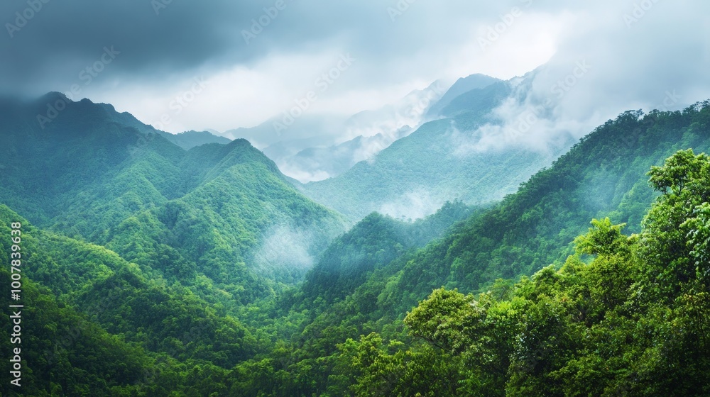 Vibrant Lush Mountains After Rain, a vivid depiction of rejuvenated greenery on mountains, showcasing the life-giving effects of rain in a serene natural landscape. Vibrant Lush Mountains After Rain, a vivid depiction of rejuvenated greenery on mountains, showcasing the life-giving effects of rain in a serene natural landscape.