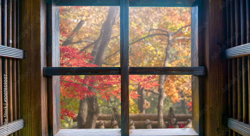 秋、窓のフレーム枠越しの紅葉の楓などの木の葉 山林自然の風景 木枠の古い建築から望む赤と黄の森の風景の背景 色づいた景色 秋、窓のフレーム枠越しの紅葉の楓などの木の葉 山林自然の風景 木枠の古い建築から望む赤と黄の森の風景の背景 色づいた景色