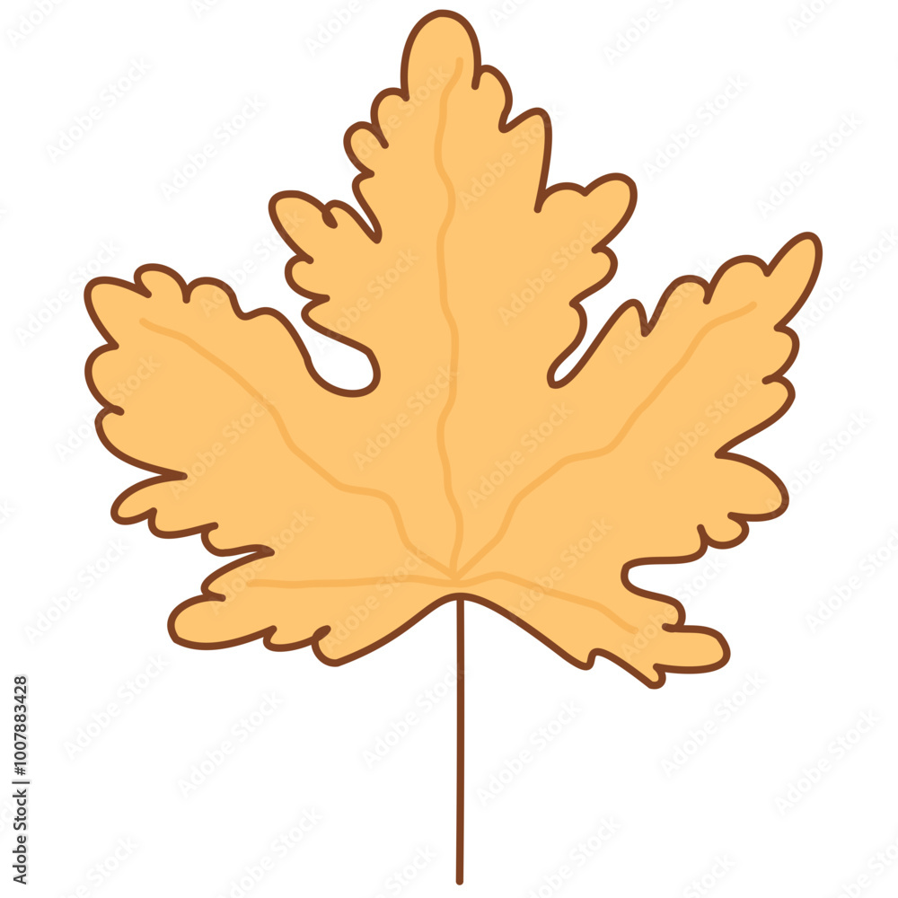 Obraz premium Maple leaf