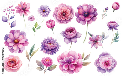 watercolor pink purple flowers set isolated from white background