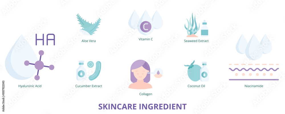 Skincare Ingredient Flat Banner Web Icon Set Vector Illustration, Hyaluronic Acid Vitamin C Aloe Vera Collagen Coconut Oil Cucumber Extract Seaweed Extract Skincare Ingredient Flat Banner Web Icon Set Vector Illustration, Hyaluronic Acid Vitamin C Aloe Vera Collagen Coconut Oil Cucumber Extract Seaweed Extract
