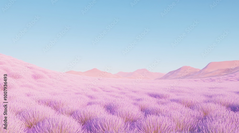 Fototapeta premium Serene Beauty of Lavender Fields: Majestic Landscape under Blue Sky