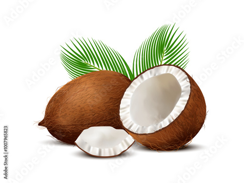 3D realistic set of whole coconut, coconut halves and palm leaves on white background.