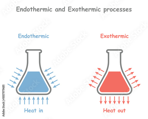 Endothermic and Exothermic processes and reactions. Heat out and heat in. Absorbing and releasing thermal energy. Chemical or a physical process. Thermodynamics. Vector illustration.
