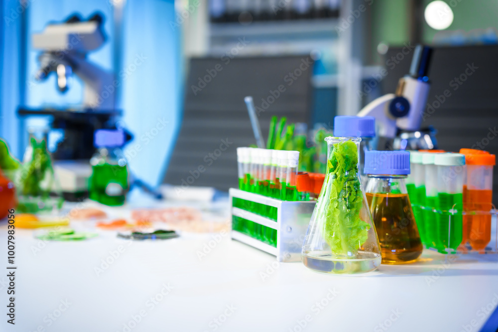 A detailed research concept in laboratory table setting, focused on food ingredients vegetables and meat. Test tubes, microscopes, lab equipment used to analyze nutritional extracts and vitamins. A detailed research concept in laboratory table setting, focused on food ingredients vegetables and meat. Test tubes, microscopes, lab equipment used to analyze nutritional extracts and vitamins.