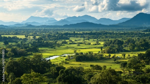 Stunning landscapes of Khao Yai National Park as seen from Pha Kluai Mai Campsite. photo