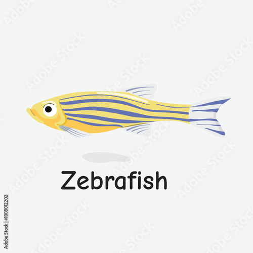 Zebrafish Vector Illustration: Small Freshwater Fish