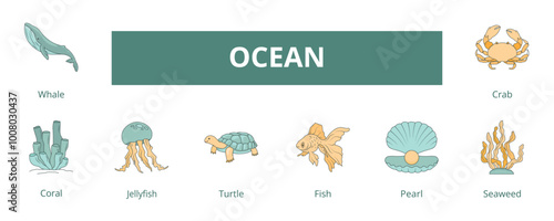 Ocean Lineal Color Banner Web Icon Set Vector Illustration, Whale Coral Jellyfish Turtle Fish Pearl Seaweed Crab