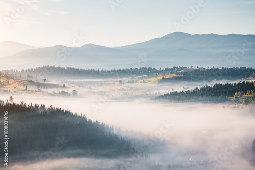 Gorgeous landscape with fog in a valley from a bird's eye view. Carpathian mountains, Ukraine, Europe.