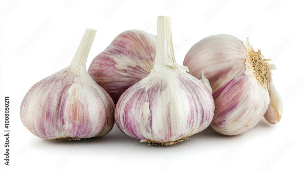 Obraz premium Garlic bulbs conjure up images of country kitchens and delicious home-cooked meals. Fascinating scenes and the simple joy of cooking with healthy ingredients.