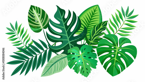 set of green monstera palm and tropical plant leaf isolated on white background for design elements, Flat lay