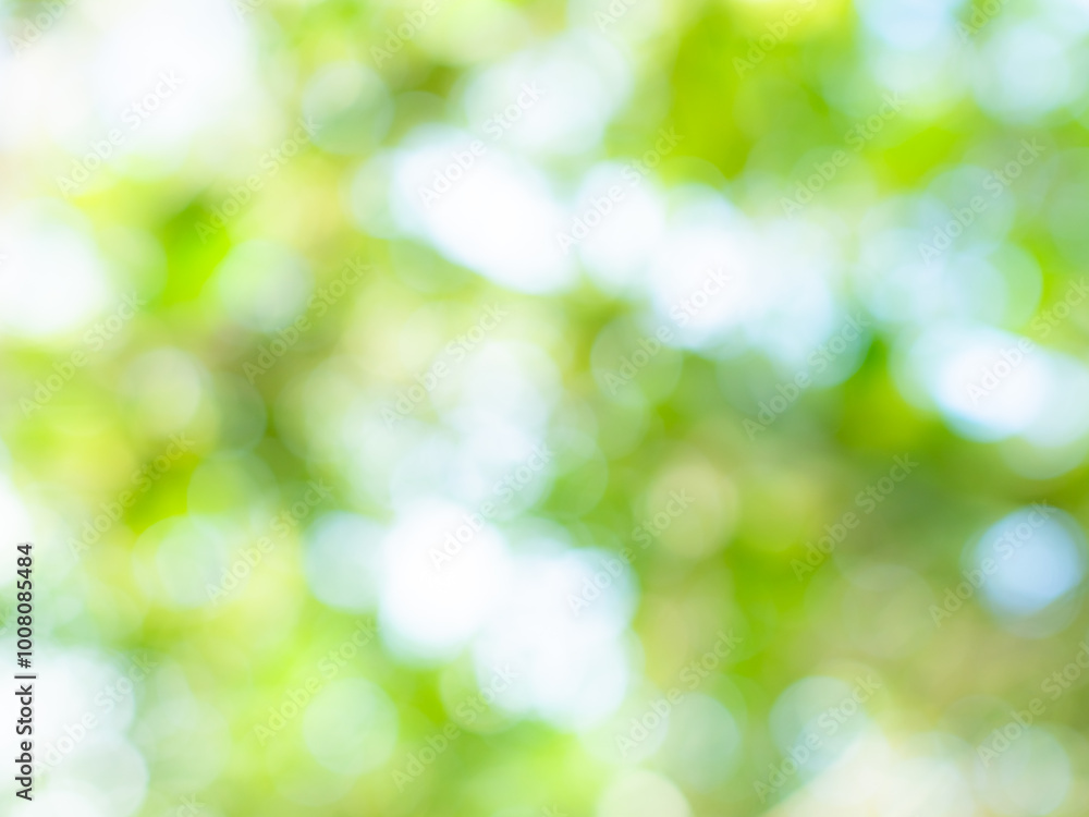 Green nature background bokeh leaf nature summer springtime blur sunlight natural fresh foliage environment ecosystem zero carbon envergy change backdrop, mockup product aesthetic beauty organic. Green nature background bokeh leaf nature summer springtime blur sunlight natural fresh foliage environment ecosystem zero carbon envergy change backdrop, mockup product aesthetic beauty organic.
