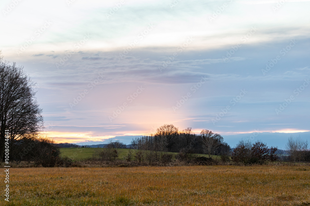 Evening mood landscape - trees and colorful clouds Evening mood landscape - trees and colorful clouds
