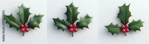 Cutouts of Christmas sprigs with holly leaves and berries on transparent background. The template includes many variations of designs. Mockup template for artwork design. photo